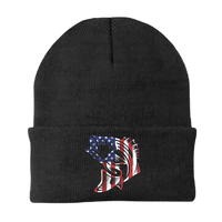 Thumbnail for American Flag Fish Embroidered Beanie