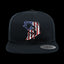 American Flag Fish Embroidered Flat Bill Cap
