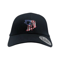 Thumbnail for American Flag Fish Embroidered Baseball Hat