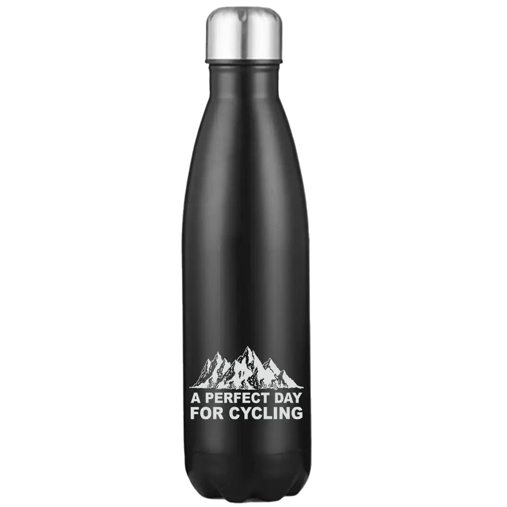 Perfect Day For Cycling 17oz Stainless Water Bottle
